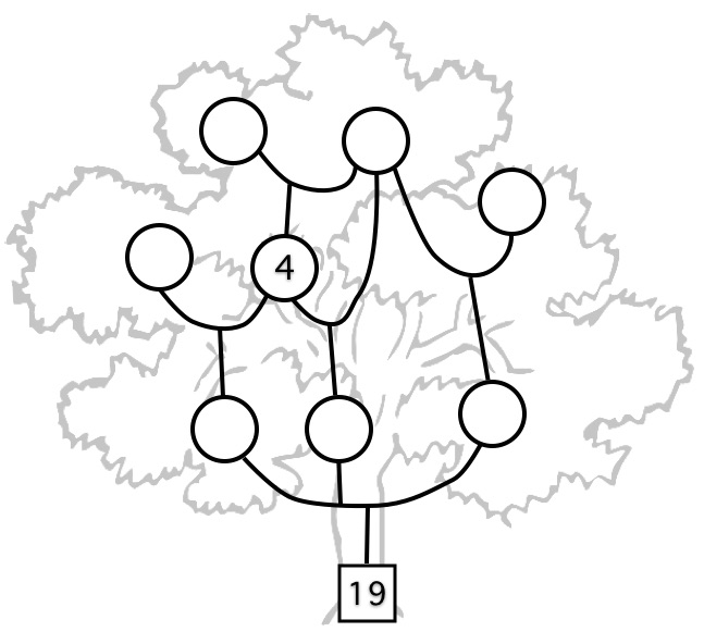 sample empty tree