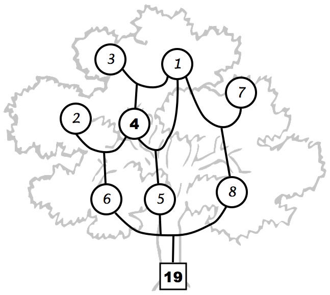 sample solved tree